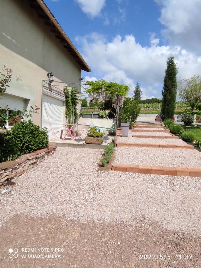 Mas De Grezes * Gaillac